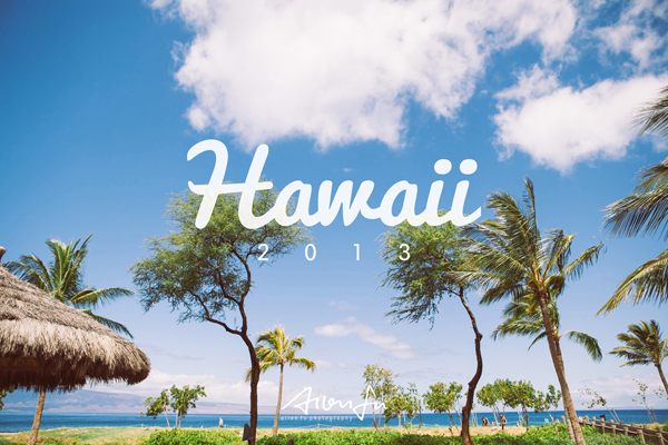 hawaii-profile