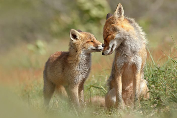 03-Roeselien Raimond