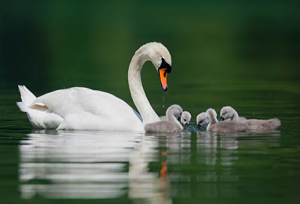 20-Stefano Ronchi