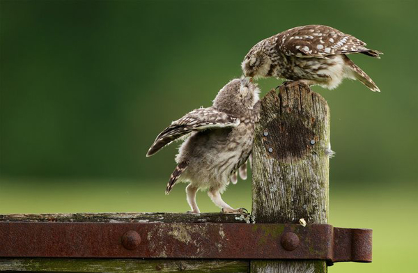 22-Mark Bridger