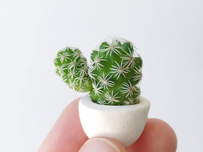 Thimble Cactus and Mini Ceramic Planter